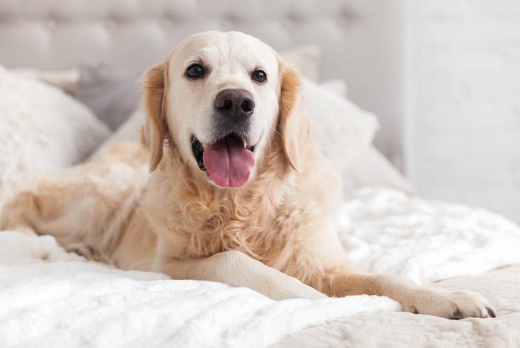 Hotel Aiden by Best Western Łódź | Łódź | 8